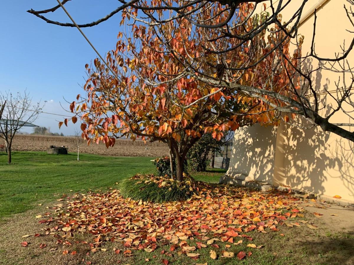 Agriturismo Cascina Mariale Villa Albiano dʼIvrea Exteriör bild