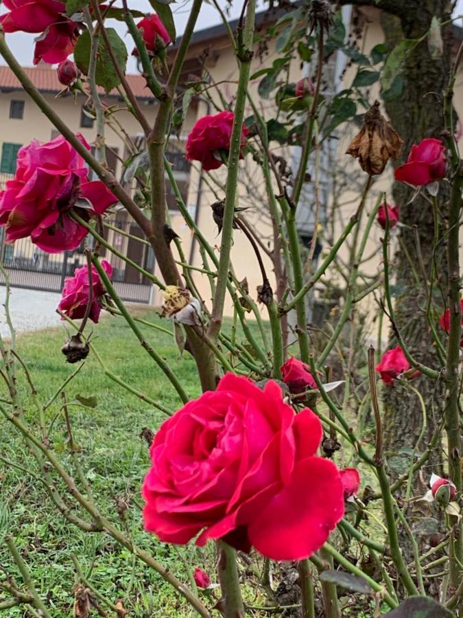 Agriturismo Cascina Mariale Albiano dʼIvrea Exteriör bild